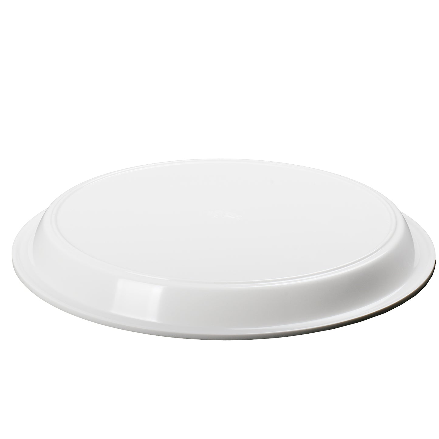 Large Melamine Plastic Round Dinner Plates, Set of 4 for Salad, Snacks, Fruit, Noodle, White Edge Dinner Plates Dish